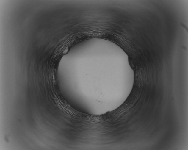 X0000102031058200807181001
