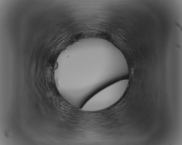 X0000102031059200807181001