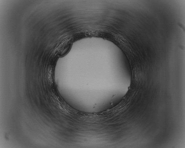 X0000102031060200807181001