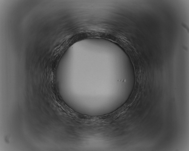 X0000102031061200807181001