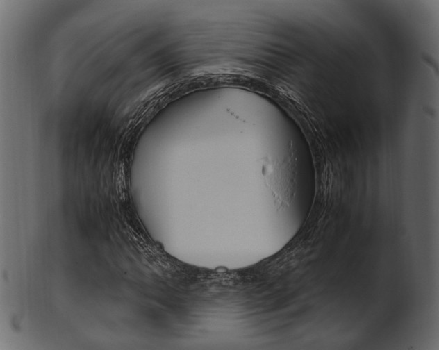 X0000102031062200807181001