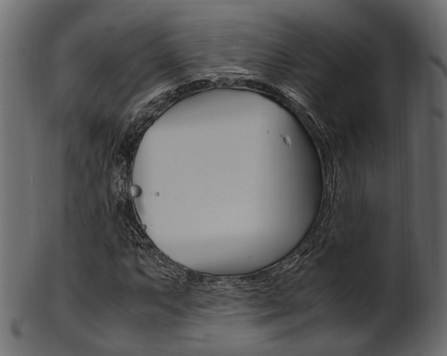 X0000102031063200807181001