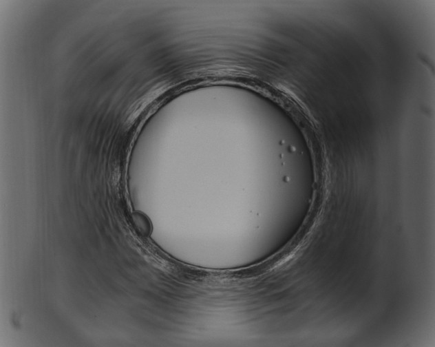 X0000102031065200807181001