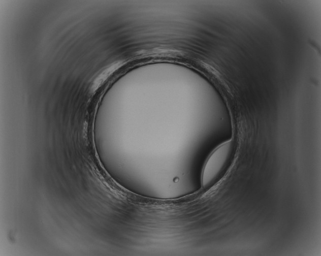 X0000102031066200807181001