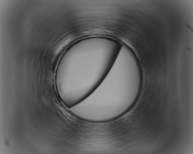 X0000102031067200807181001