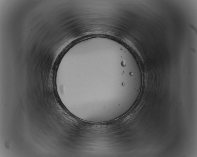 X0000102031068200807181001