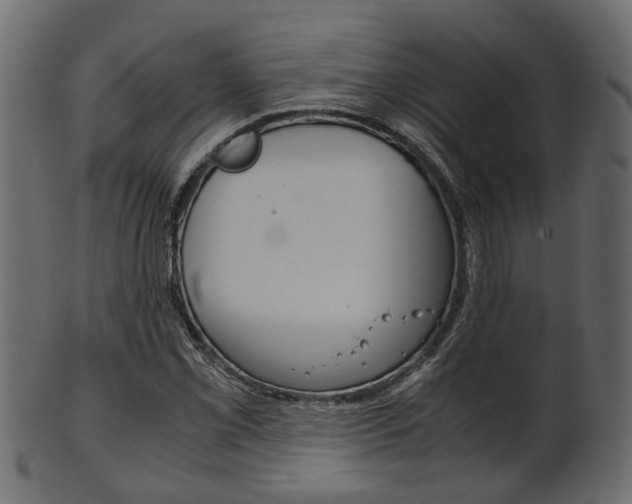 X0000102031069200807181001