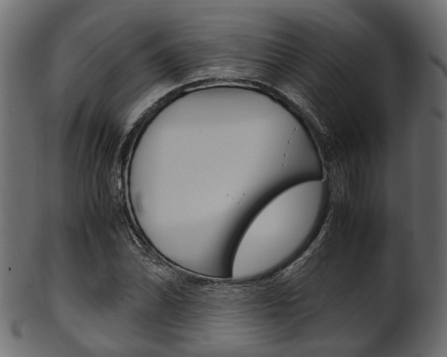 X0000102031070200807181001