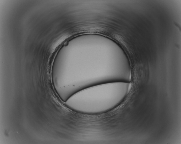 X0000102031071200807181001