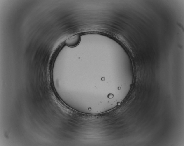 X0000102031072200807181001