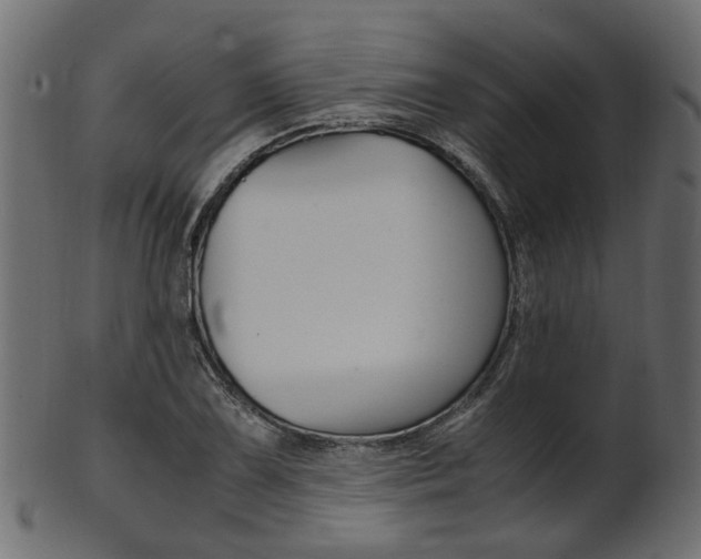 X0000102031075200807181001