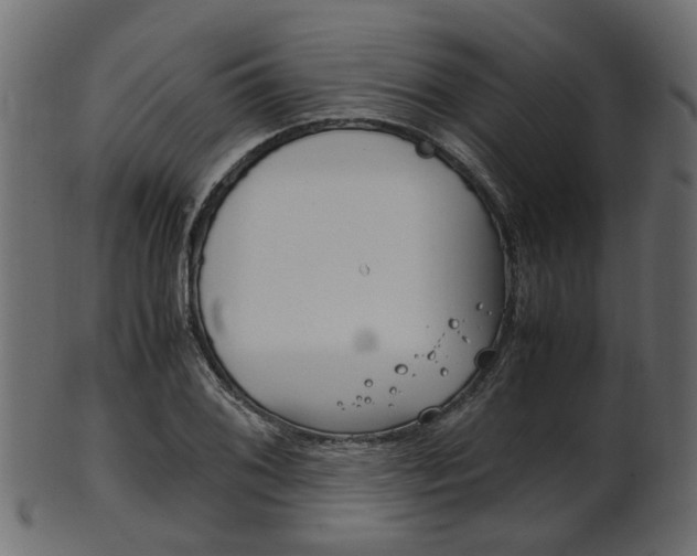 X0000102031076200807181001