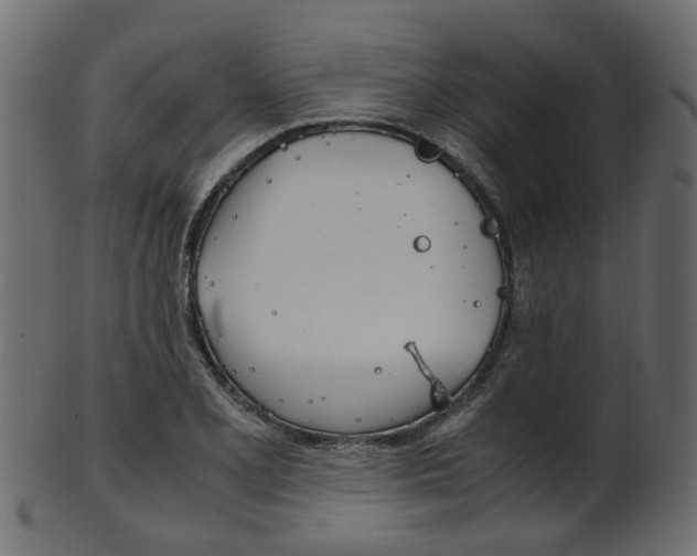X0000102031077200807181001