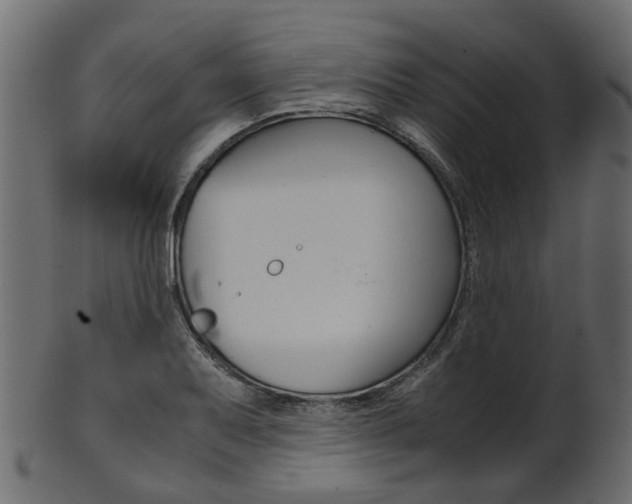 X0000102031079200807181001