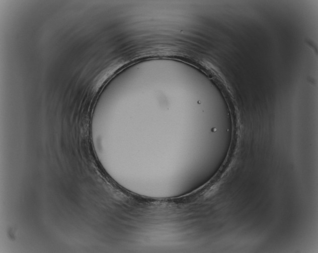 X0000102031081200807181001