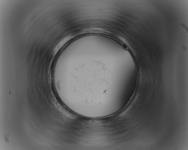 X0000102031082200807181001