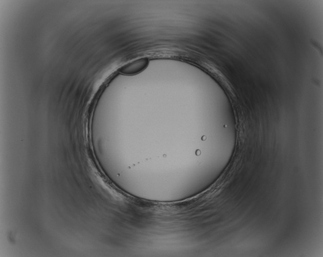 X0000102031083200807181001
