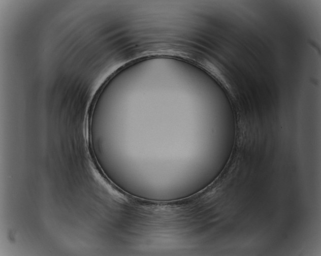 X0000102031084200807181001