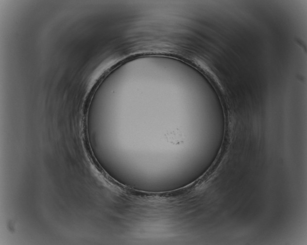 X0000102031085200807181001