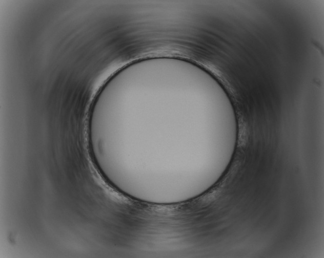 X0000102031086200807181000