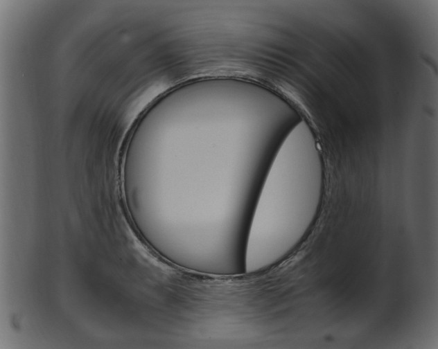 X0000102031087200807181000