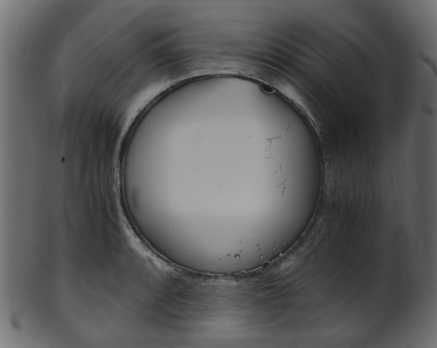 X0000102031088200807181000
