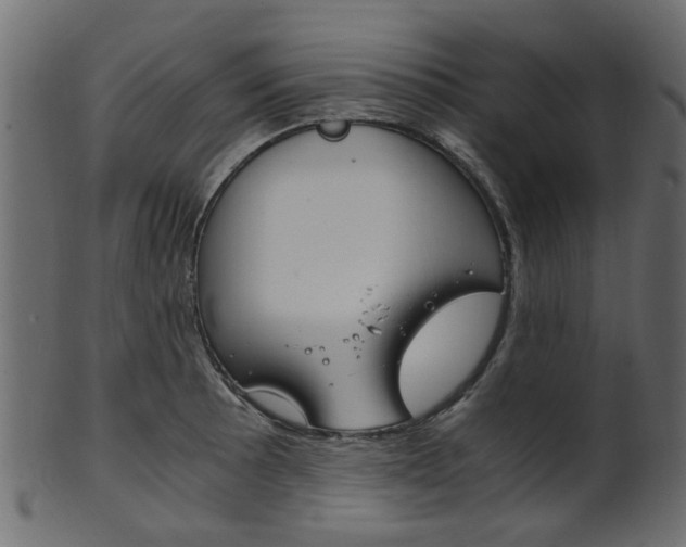 X0000102031089200807181000