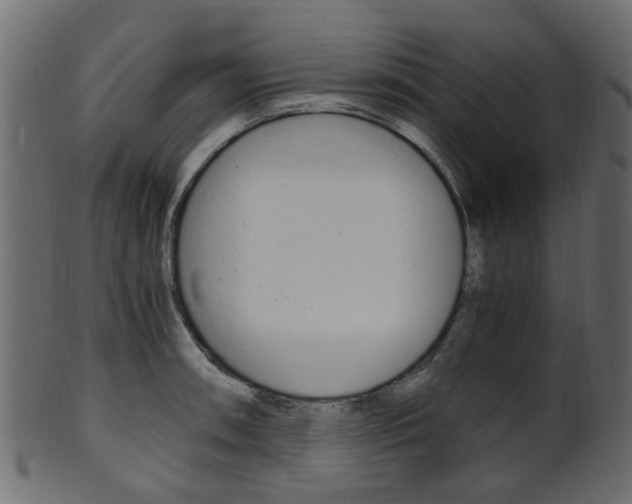 X0000102031090200807181000