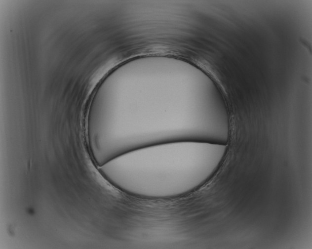 X0000102031091200807181000