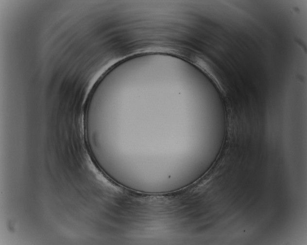 X0000102031092200807181000
