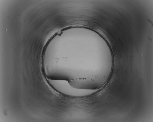 X0000102031093200807181000
