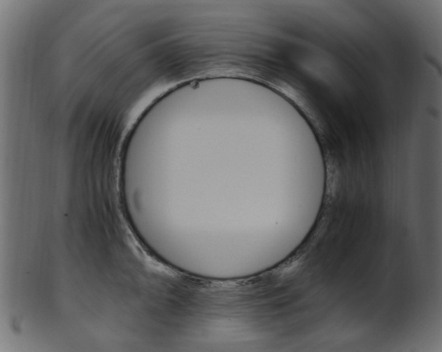 X0000102031094200807181000