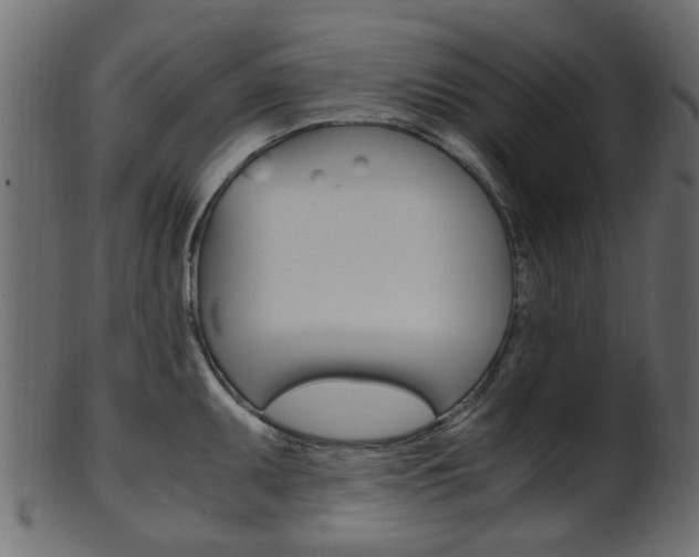 X0000102031095200807181000