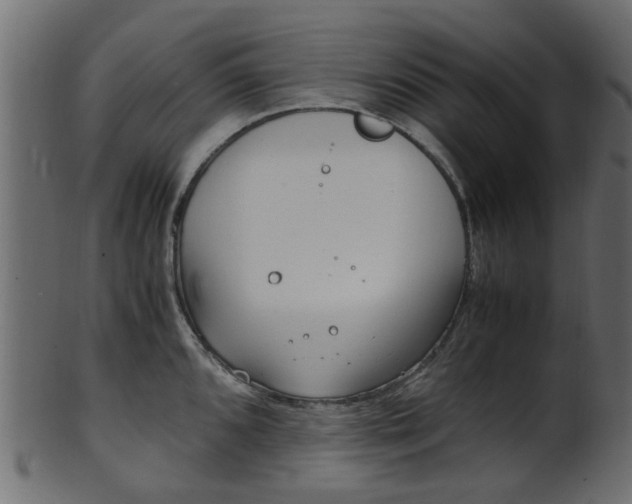 X0000102031096200807181000