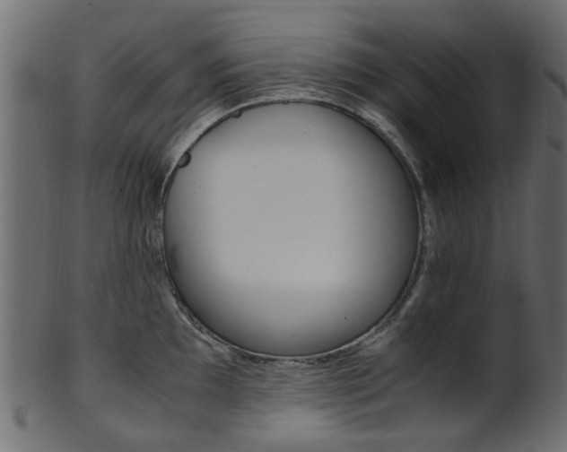 X0000102031097200807181000