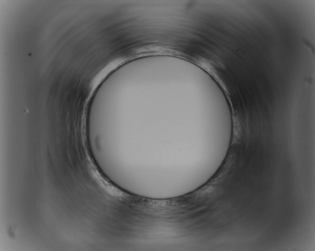 X0000102031098200807181000