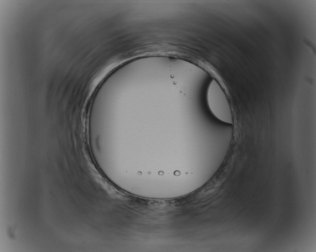 X0000102031099200807181000