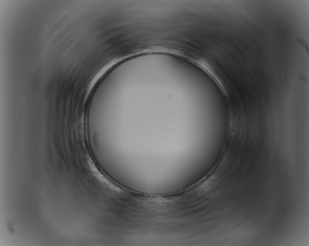 X0000102031100200807181000