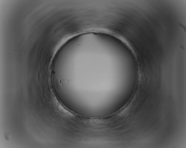 X0000102031102200807181000