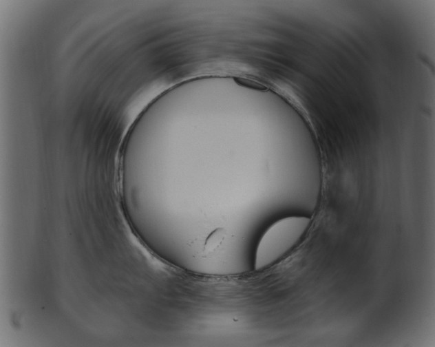 X0000102031103200807181000