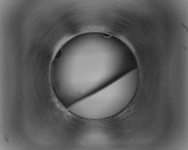 X0000102031104200807181000