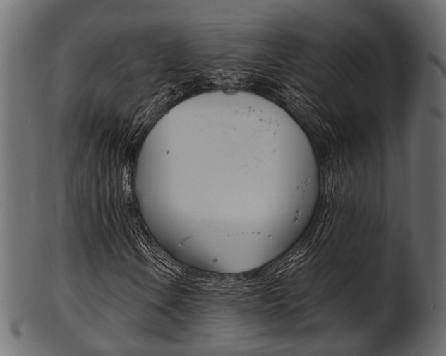 X0000102031106200807181000