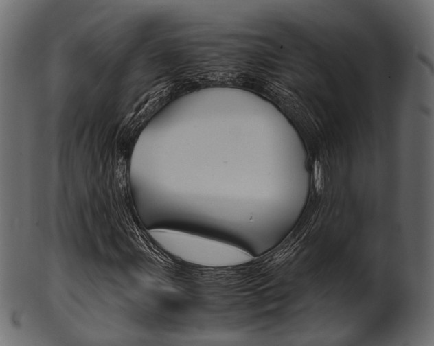 X0000102031107200807181000