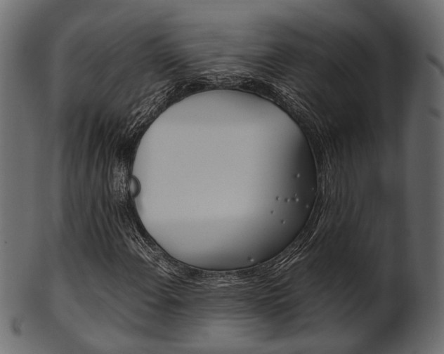 X0000102031108200807181000