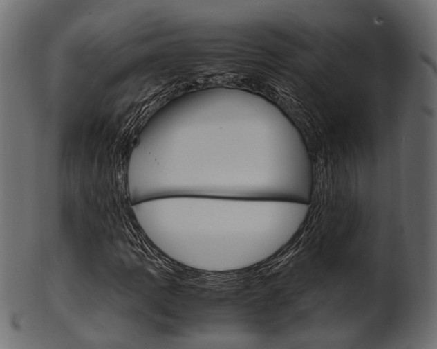 X0000102031109200807181000
