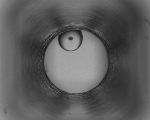 X0000102031110200807181000