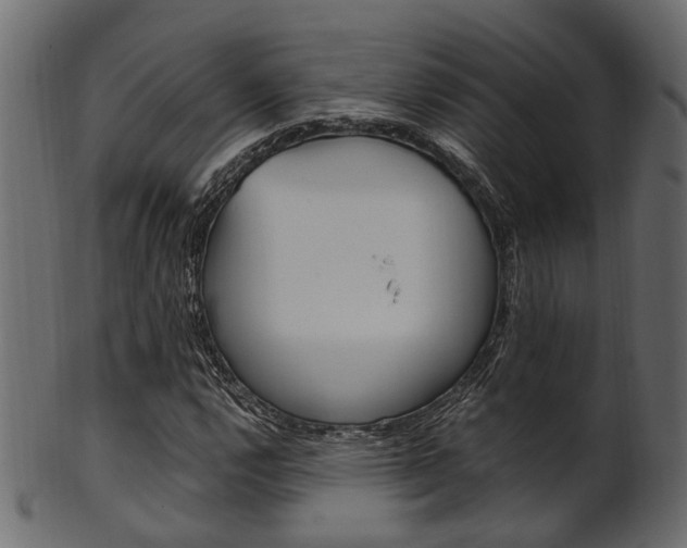 X0000102031112200807181000
