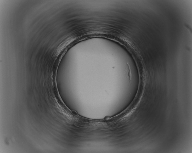 X0000102031113200807181000