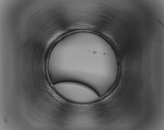 X0000102031114200807181000