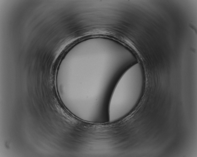 X0000102031116200807181000